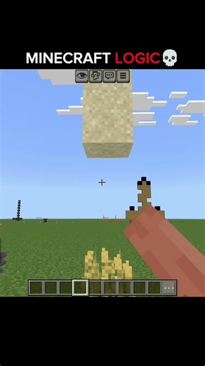 Minecraft Crop Logic💀