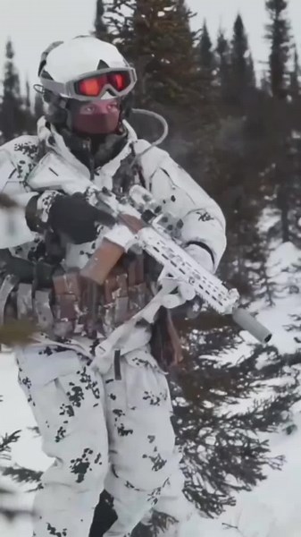 #sweden #swedishempire #history #geography #country #maps #fypシ #foryou