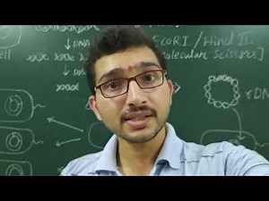 Processes of rDNA technology