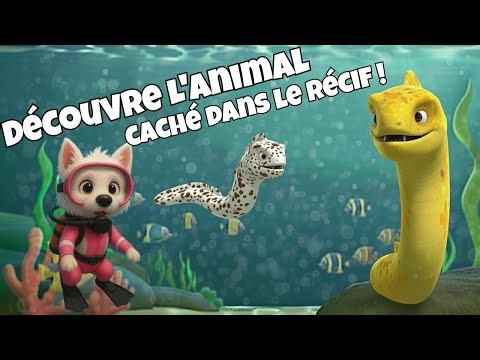 Découvre l’animal caché dans le récif !