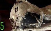 [Dark5]5个迄今发现的最神秘干尸生物（自试制字幕）