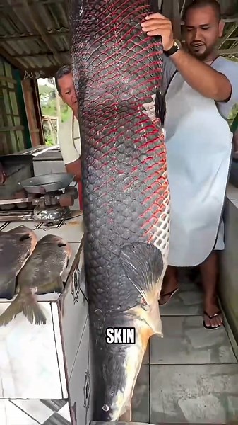 The Fish That Even Piranhas Can't Bite Through
