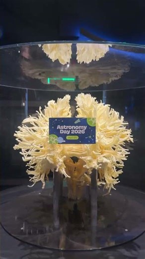 Celebrate space on Astronomy Day