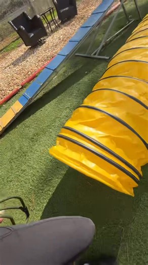 Rip is gettin into the swing of things! Everyday Rip is coming out of his shell a little more and we’re getting so see how this big guy is just a lovable goofball 🥰 Confidence building is huge for Rip so a bit of agility always plays well for dogs that are a little unsure 👀 Keep an eye on this one, I think you’ll be seeing a new man on graduation day! 🫶🏻 | OTCK9 Academy