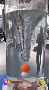 512K views · 58 shares | Esta tecnología es increíble  | Odontología Virtual | Facebook