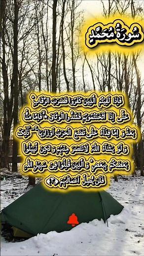 Surah Muhammad Full HD Beautiful Recitation | Peaceful Quran Tilawat | سورة محمد