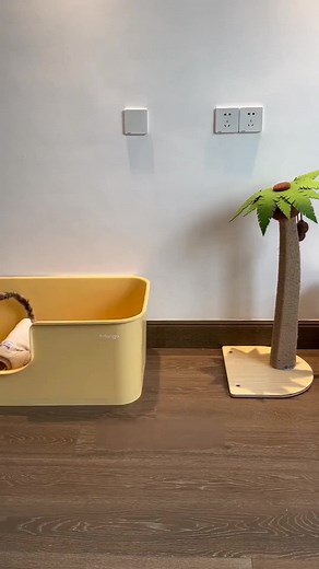 Revolutionary Large Cat Litter Box for Comfort and Convenience