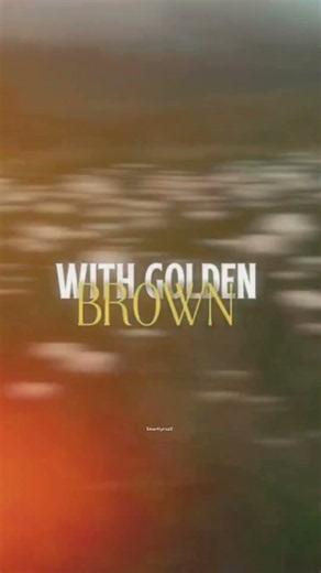 The Stranglers - Golden Brown (Lyrics) #music # #edit #aestheic