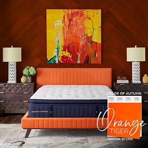 133K views · 27 reactions | Calling all design enthusiasts! Pantone has released its Fall 2022 color trends. One color is the vibrant and fiery Orange Tiger. When paired with fellow trending colors, Samoan Sun (cheerful yellow), Midnight (deep blue), and Caramel Cafe (delicious brown), it creates an invigorating sleep space. | Stearns & Foster | Facebook