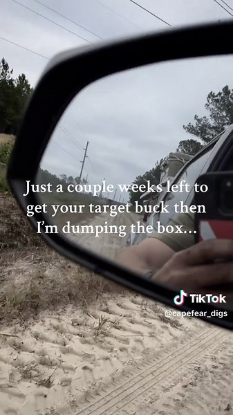 Deer Hunting Tips with Deerhounds in Swampy Woods