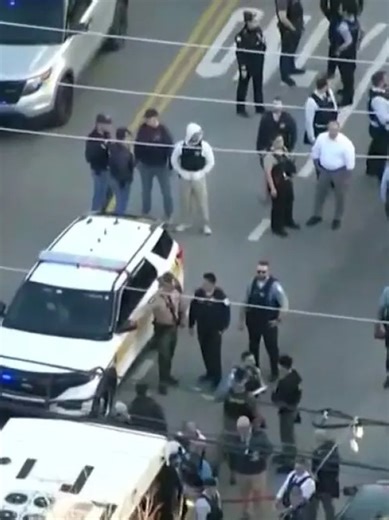 Chicago police shoot, kill driver who fled, hit a pedestrian, CTA bus, CPD says