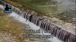 "You're All I Need", a song by the American glam metal band White Lion, The song was from the album, "Mane Attraction," their fourth studio album that was released in 1991. The power ballad "You're All I Need" which was released as a promo single gained a huge amount of radio airplay in Indonesia and the Philippines. | Pinoy Videoke Tambayan