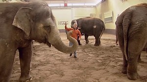 Circus Knie – Wie ein Programm entsteht