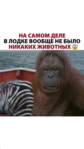 Отрывок из индийского кино «Жизнь Пи» #табу #taby #irfankhanfans #indiafilms #bollywood #instagram