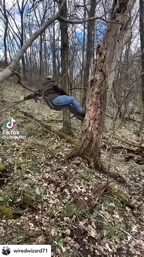 Funny Tree Cutting Fails 3 #shorts #funny #treecutting