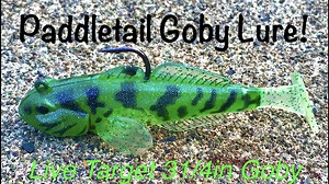 Watch Live Target's Paddletail Goby Lure! on Amazon Live