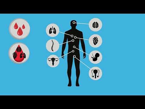 Bloodborne Pathogens Basics