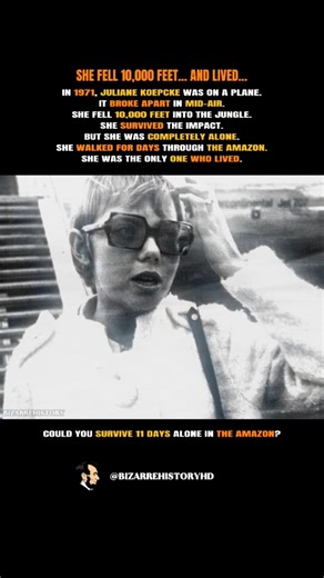 She Fell 10,000 Feet And Lived #history #survival