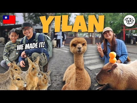 Yilan Taiwan 🇹🇼 | A Countryside Farm Day with Our Family 🦙