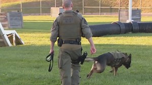 Fairfax County's furry officers: A Look inside K9 training school