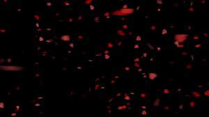 Rotating Love Heart Animation On Black Stock Footage Video (100% Royalty-free) 1099372355 | Shutterstock