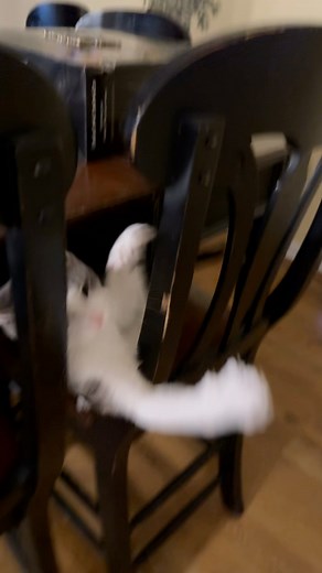 Clay Nelson on Reels