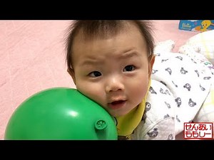 風船であそぶしーくん Playing with Balloons