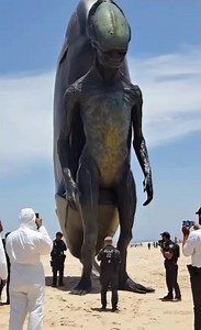 alien #extraterrestres #ufo #ufosighting #mystyle #scifi #viralvideo #tiktok #extraterrestrial #trendingvideo #UFO #foryoupageシforyou #uaptiktok #todaybestphotochallenge #ufosighting | Viral Videos