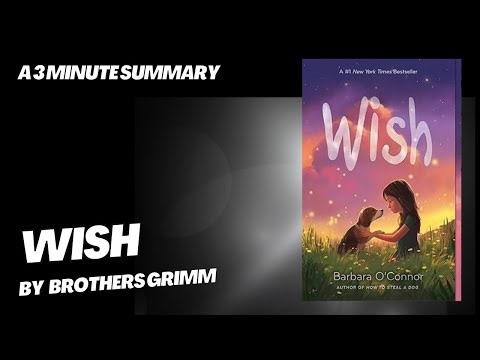 Wish - A 3 minute summary