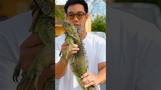 Catch n Cook Iguana Pizza