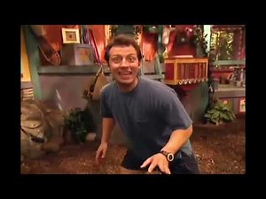 Zoboomafoo: Season 1: Incoming Duck