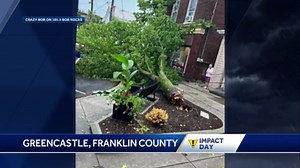 Storm knocks over tree in Greencastle, Franklin County