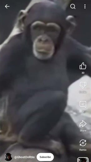 THE CAMERA CAMERA FUNNY CLIP VIDEO PART 1