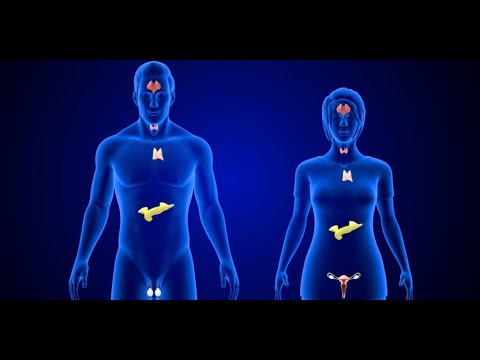 Endocrine Lecture - L2