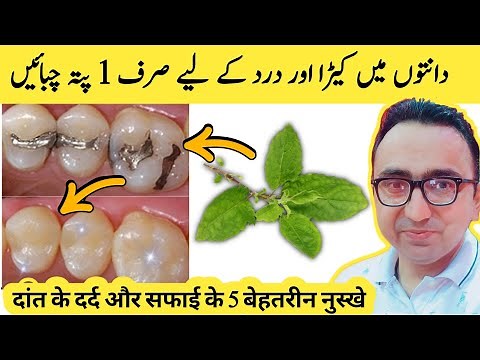 5 Most Effective Remedies For Toothache And Dental Cavities