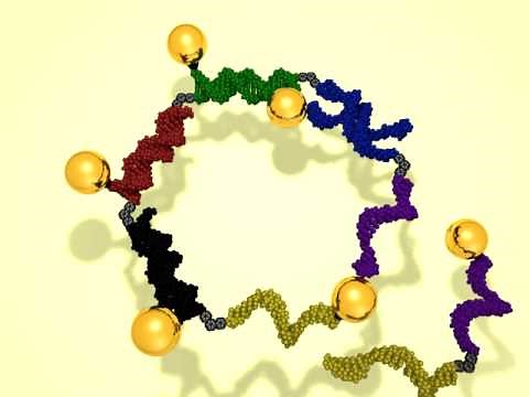 Self-assembling DNA scaffold for gold nanoparticles