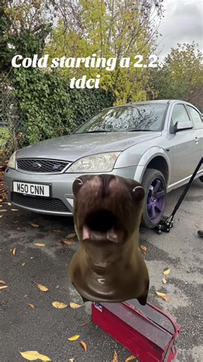 Cold Starting a Ford Mondeo 2.2 TDCi Diesel Engine