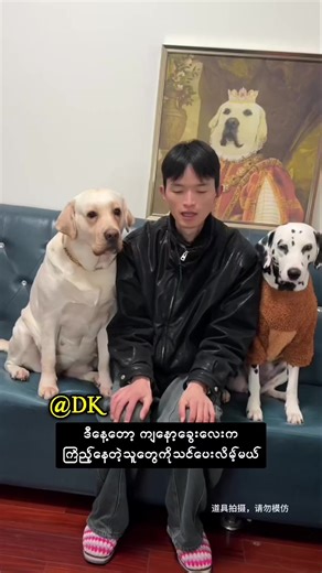 狗狗教你生气的技巧与幽默