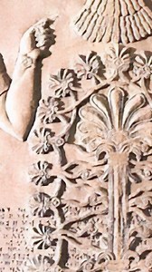 8.8K views · 316 reactions | El culto al dios sol y a la madre y su hijo. El oculto origen de la #navidad (parte 4). | NAOV | Facebook