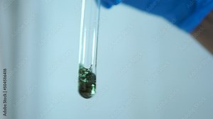 Researchers extract cannabis in a lab