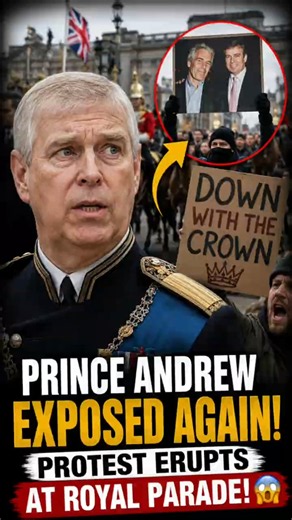 Prince Andrew Takes Center Stage at King Charles's Event, This Protester's Action Causes a Stir!