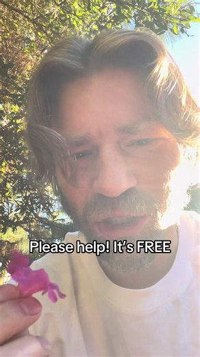 Please help it’s FREE!!! #alaskanbushpeople #thelifeofbear #fyp #bearthekingofextreme