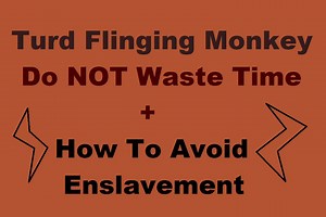 Turd Flinging Monkey - Don't Waste Your Time   Avoiding Enslavement   Future Generational Hope
