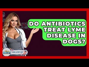 Do Antibiotics Treat Lyme Disease In Dogs? - Ask A Pet Vet