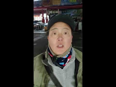 포항참문어octopus 포항 전통시장 죽도시장 #전설의칼잡이 #포항 #문어 #제수용 #대왕문어 #안동문어 #포항참문어 #동해문어 #KoreanFood #Korean #특가