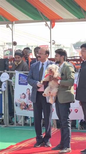 Jonny Pet's Gorakhnath Gorakhpur on Instagram: "#winar #dogshow2026 #gorakhpurmahotsav2026 #lhasa_apso #breed"