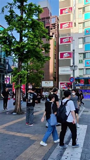 日本东京歌舞伎町第1集丨#日本旅游#日本旅行攻略#东京#歌舞伎