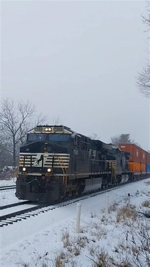 NS intermodal train rolls through Harrisburg PA