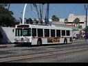 Los Angeles & Long Beach Transit (Sept 2008)