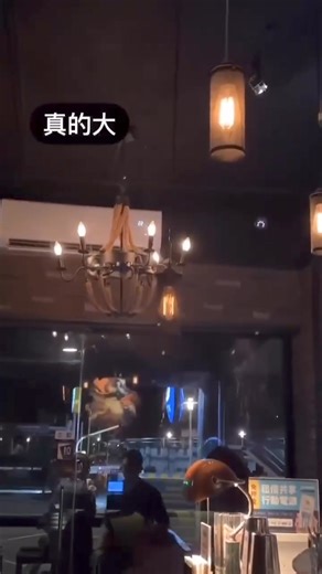 魅力無編：大家所在地區還好嗎！ 國家級警報大響！02:21花蓮6.1規模地震台北狂晃 | 東森新聞